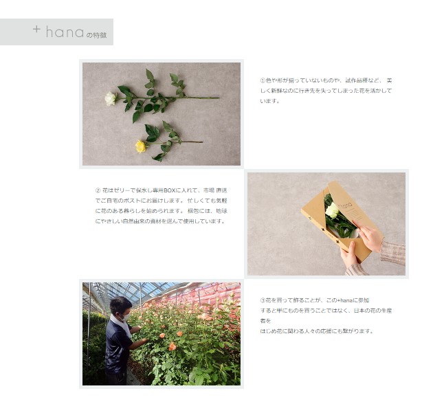 全て国産の個性豊かな花や新しく開発された品種の花などがミックス