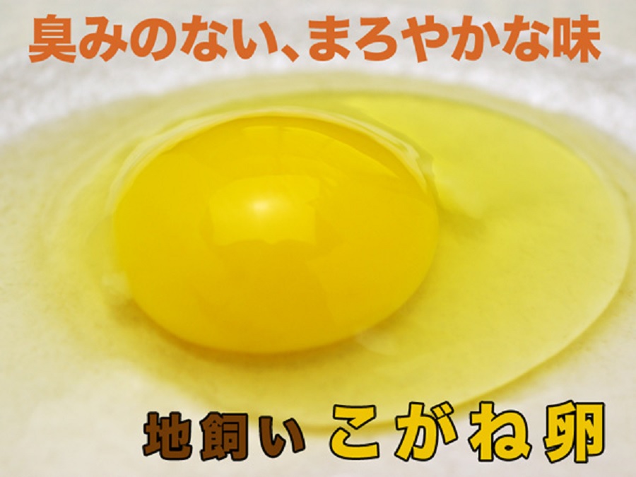 可能な限り安全な飼料を使った、臭みのない、まろやかな味。地飼いこがね卵