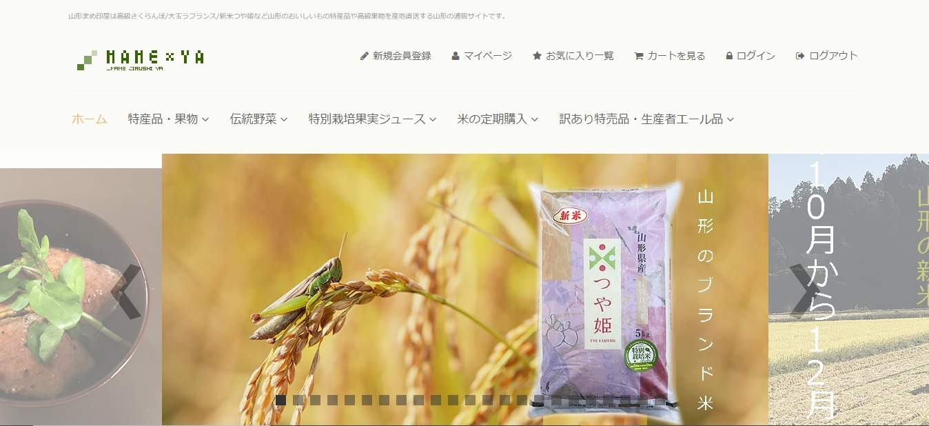 一般的な栽培の約3倍ほど間隔を開けて苗を植える超疎植えで育った、つや姫・雪若丸