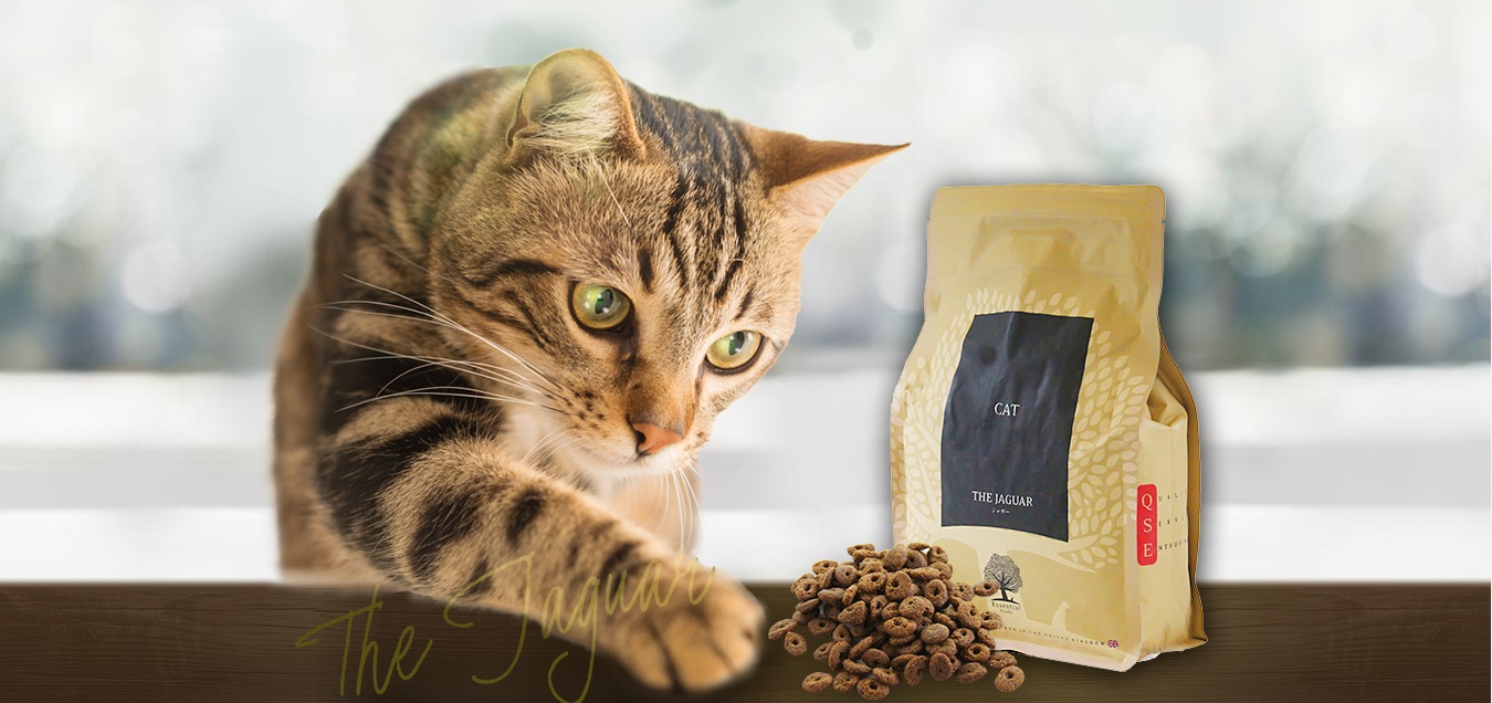 高級食材をふんだんに使ったとっておきのラグジュアリーキャットフード