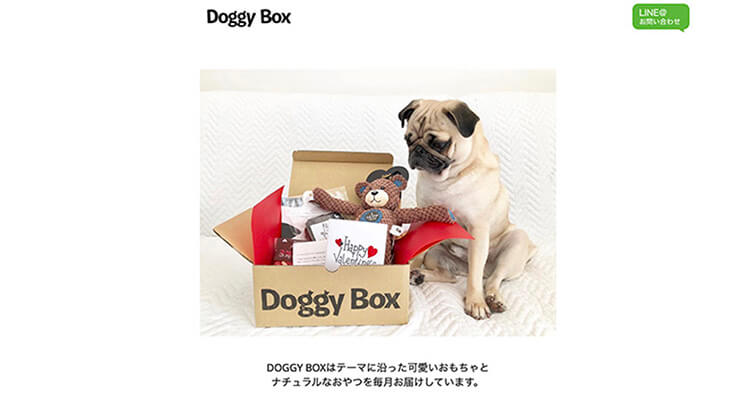 Doggy Box