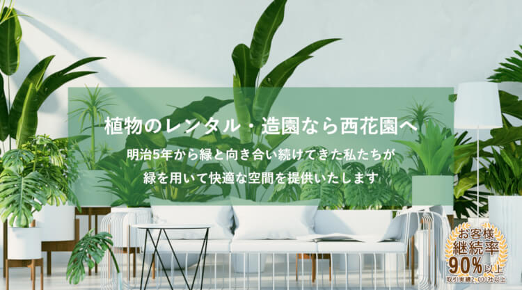 観葉植物レンタルサービス